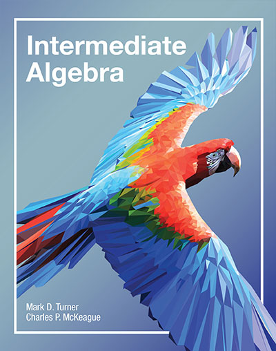 cover of Intermediate Algebra